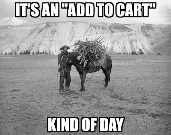 Montana Meme Contest 2025 Winner