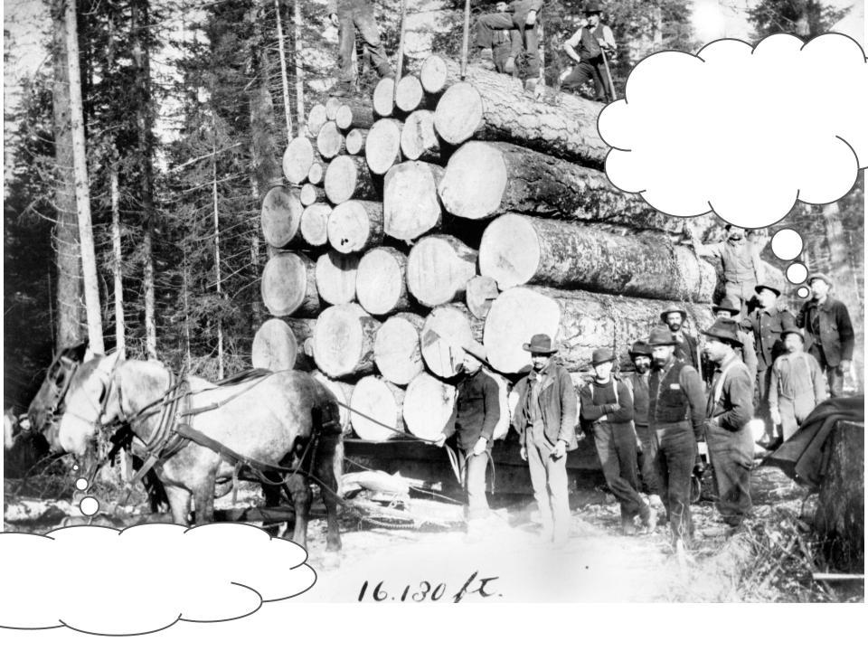 Caption This example with a image of horses dragging a wagon loaded with logs