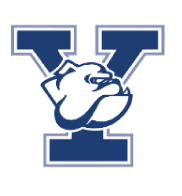 Yale Bulldog small