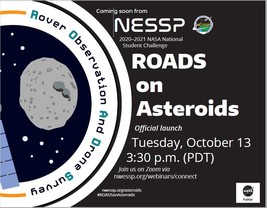 NESSP ROADS on Asteroids