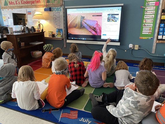 Butterfly house presenting to a Kindergarten classroom