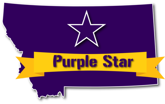Purple Star Logo