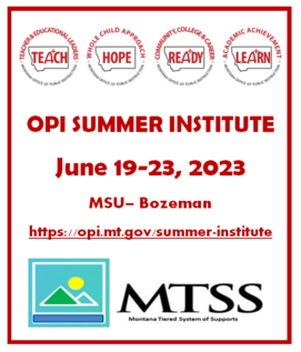 OPI Summer Institute