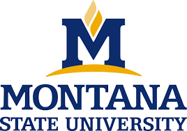 MSU Logo