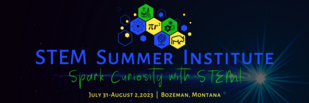 STEM Summer Institute