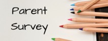 Parent Survey Graphic with colored pencils