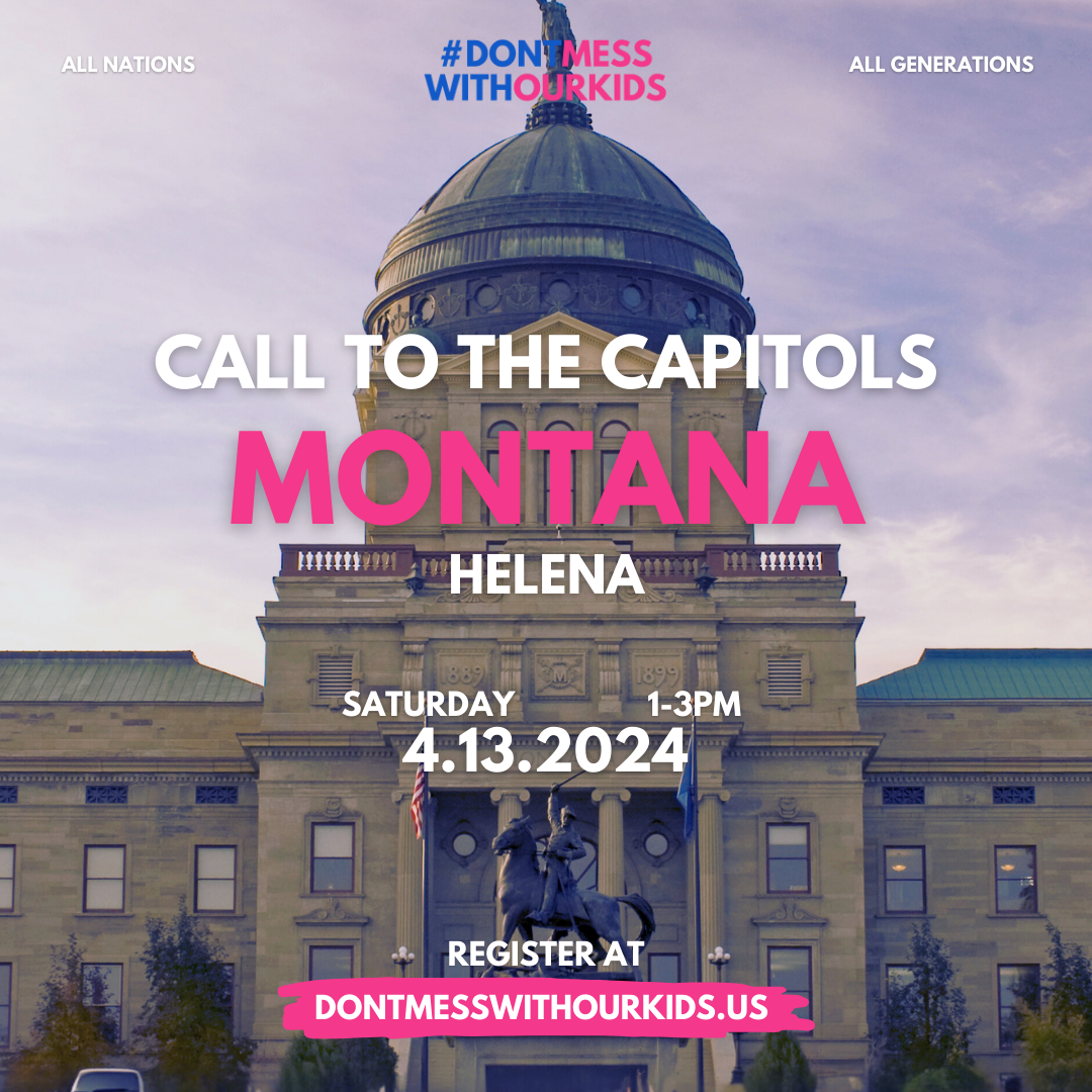 Don't Mess with out kids flyer