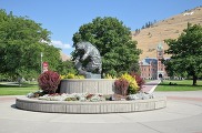 University of Montana bear