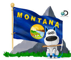 Montana Discovery Ed Logo