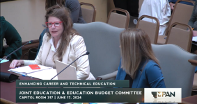 Screen shot Constitutional players recording