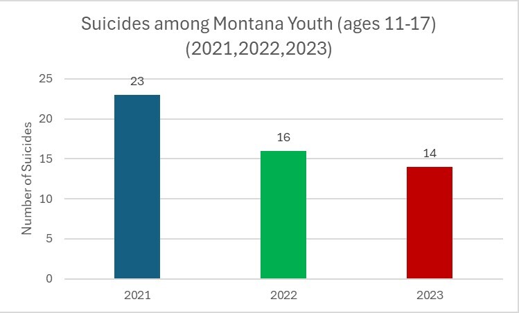 Youth Suicide Graph