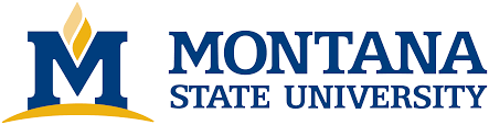 Montana State University Logo