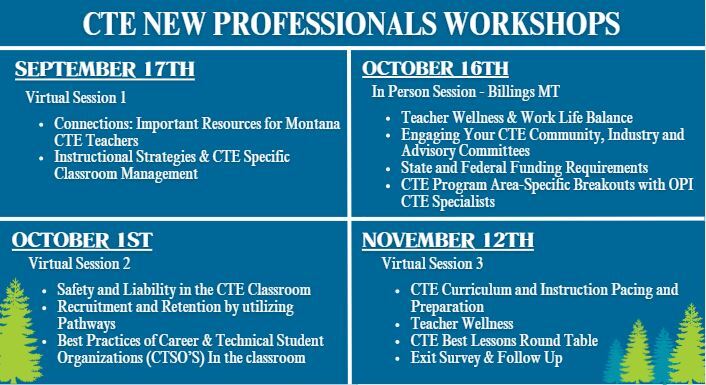 New Professionals CTE 2