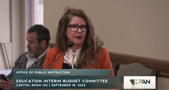 Committee hearing screen shot