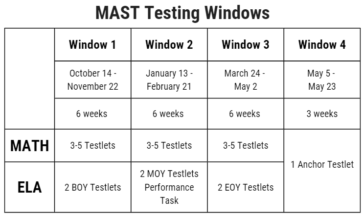 Mast Testing Window