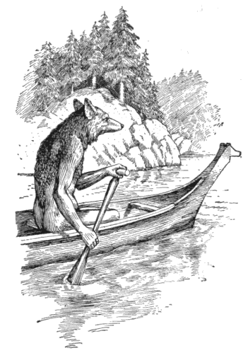 Coyote in a canoe