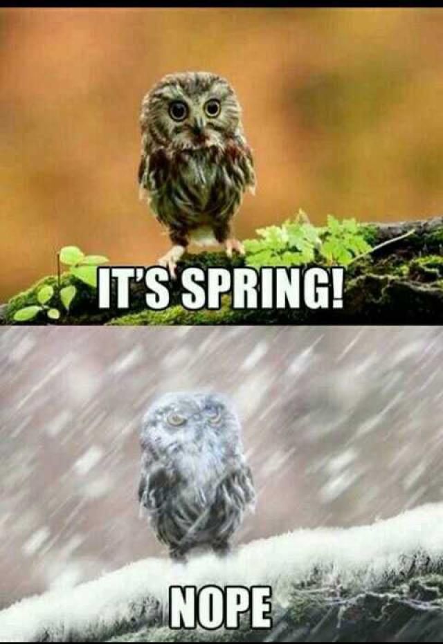 spring funny