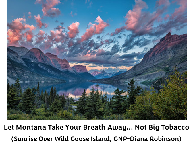 Sunrise Over Goose Island GNP - Diana Robinson