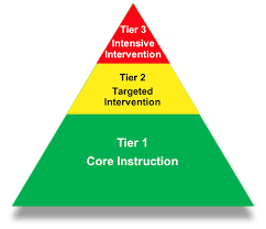 MTSS Triangle
