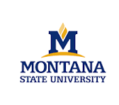 Montana State University 