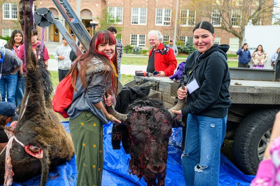 Rise Bison Harvest