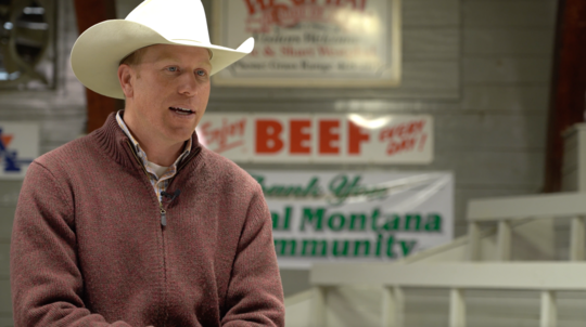 Lewistown Livestock Auction