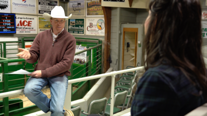 Lewistown Livestock Auction