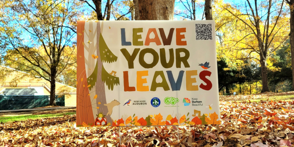 Leave Your Leaves yard sign on a pile of leaves