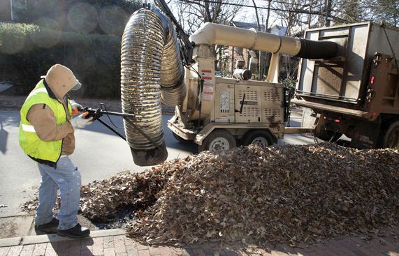 Person collecting leaves with truck
