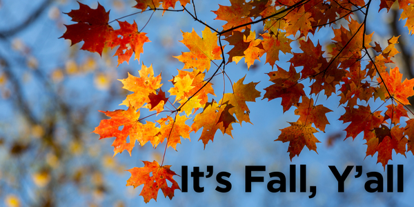 Fall leaves on trees