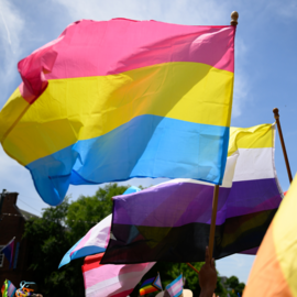 Pansexual pride flag amidst other Pride flags