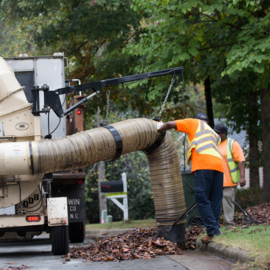Person using leaf collection machine, sucking up leaves at the curb