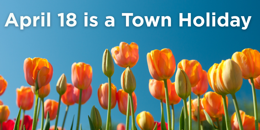April 18 is a town holiday with orange tulips blooming underneath