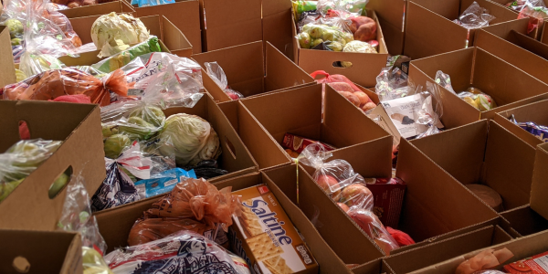 Boxes of foods including prepackaged and fresh vegetables