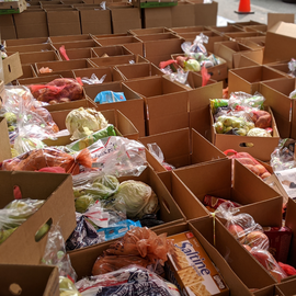 Cardboard boxes filled with food