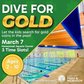 Dive for Gold on March 7 at Homestead Aquatic Center