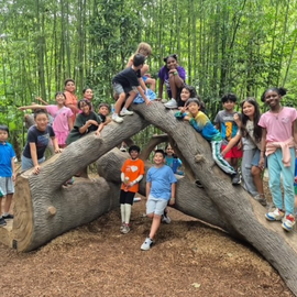 Kids climbing on fallen logs
