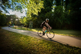 Person riding a bike on a greenway at sunset.