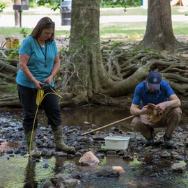 Stormwater staff exploring a creek