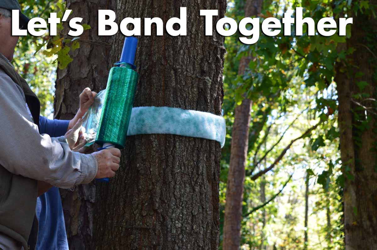Let's Band Together
