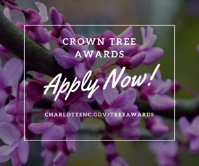 Crown Tree Awards