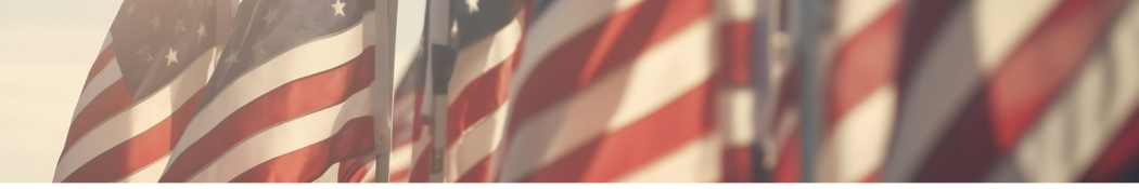 Image of a row of American Flags.