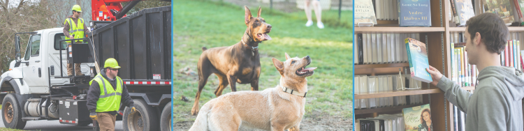Three images: One of large item pickup in progress, one of two dogs playing, one of a young man picking up a book.