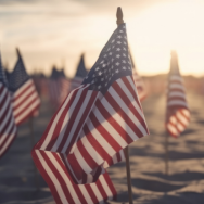 Image of small American flags waving on poles in the sand.