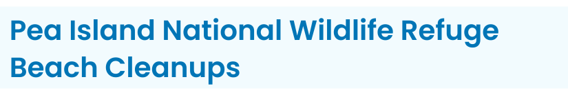 Heading: Pea Island National Wildlife Refuge Beach Cleanups