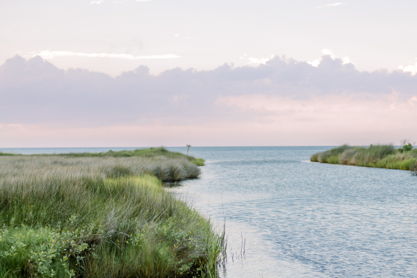 Image of a canal surrounded by marshy grasses leading to the sound. 