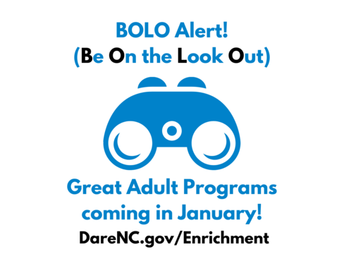 bolo