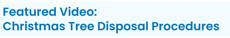 Heading: Featured Video: Christmas Tree Disposal Procedures