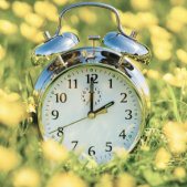 Image of an alarm clock sitting in a flowering meadow.