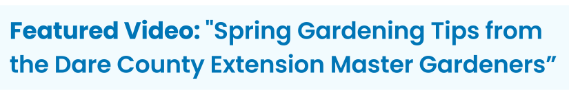 Heading: Featured Video: "Spring Gardening Tips from the Dare County Extension Master Gardeners”